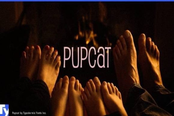 Pupcat Font Review for Real Projects